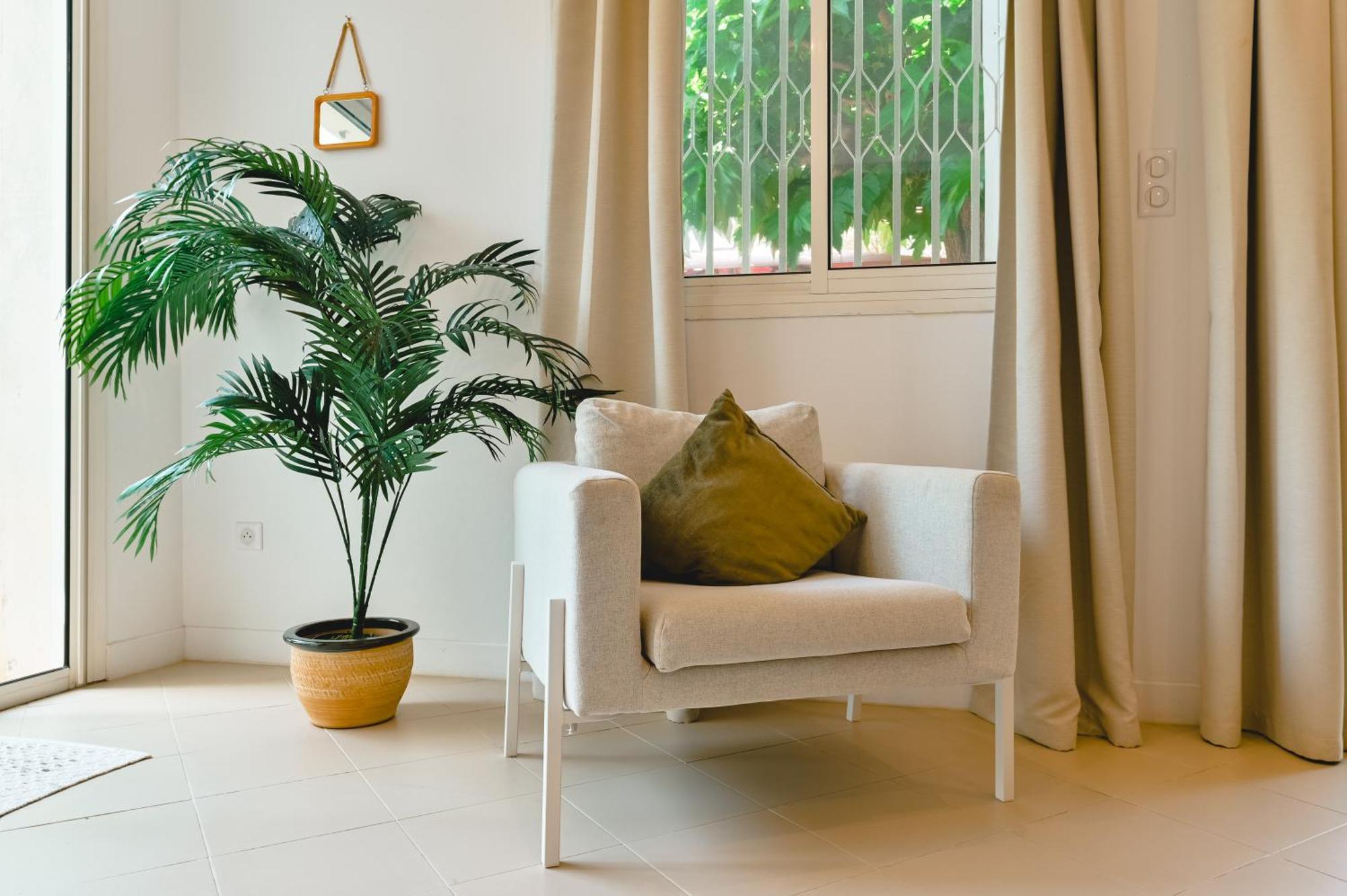 Charmant Appartement - Jardinet Prive - 5 Minutes Des Plages Sanguinaires - Ajaccio Ajaccio  Exterior photo